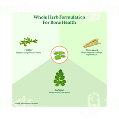 Organic India Osteoseal Veg Capsule 60