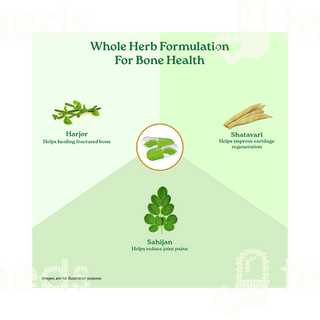 Organic India Osteoseal Veg Capsule 60