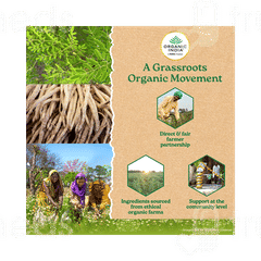 Organic India Osteoseal Veg Capsule 60