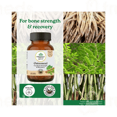 Organic India Osteoseal Veg Capsule 60