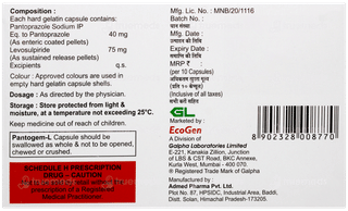 Pantogem L Capsule 10