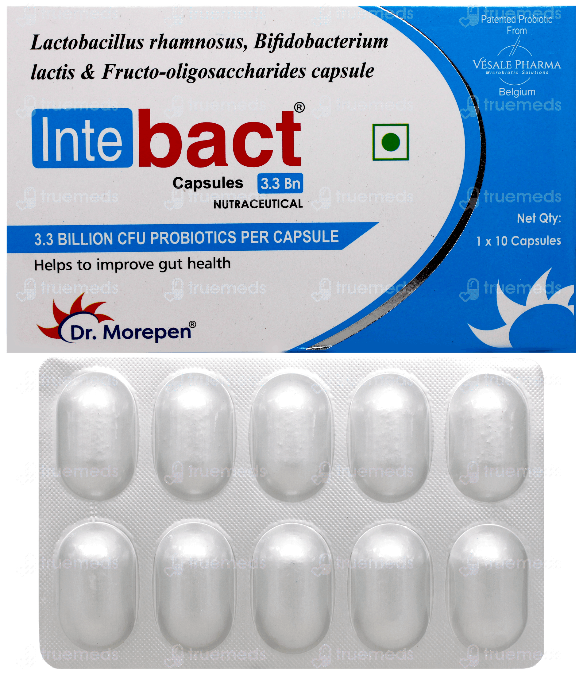 INTEBACT banner