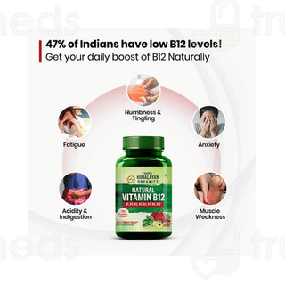 Himalayan Organics Vitamin B12 Vegetarian Capsule 120