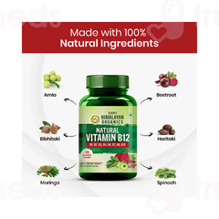 Himalayan Organics Vitamin B12 Vegetarian Capsule 120