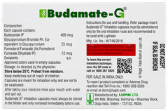 Budamate G Capsule 10