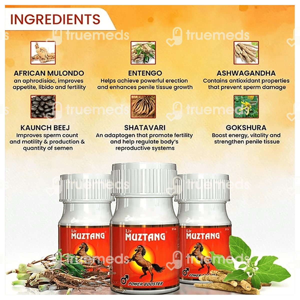 Testosterone Synthesis, Transport, and Metabolism Springer Nature Link