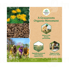 Organic India Breathe Free Capsule 60