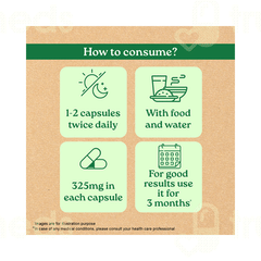 Organic India Breathe Free Capsule 60