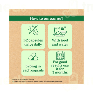 Organic India Breathe Free Capsule 60
