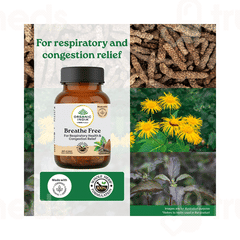 Organic India Breathe Free Capsule 60