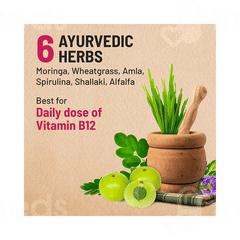 Gynoveda Ayurvedic Vitamin B12 Capsule 30