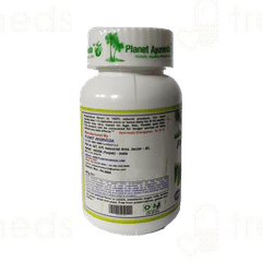 Planet Ayurveda Phyllanthus Niruri Capsule 60
