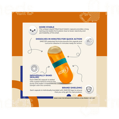 Snec 30 Turmeric Capsule 60
