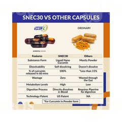 Snec 30 Turmeric Capsule 60