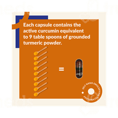 Snec 30 Turmeric Capsule 60