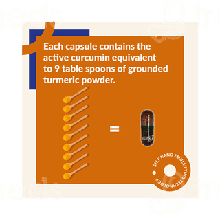 Snec 30 Turmeric Capsule 60