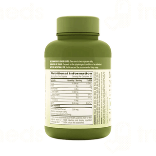Gnc Herbal Plus Milk Thistle 250mg Capsule 60