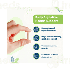 Lee Biotic Forte Capsule 10 Lee Biotic Forte Capsule 10