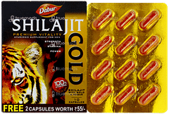 Dabur Shilajit Gold Capsule 10+2 Free Dabur Shilajit Gold Capsule 10+2 Free
