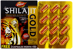 Dabur Shilajit Gold Capsule 10+2 Free