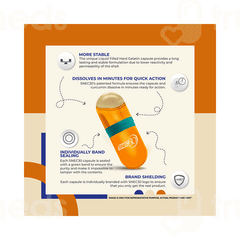 Snec 30 Curcumin Capsule 120