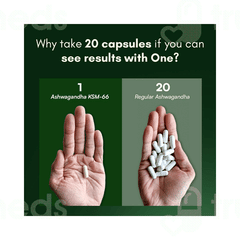Rasayanam Ashwagandha Ksm 66 500mg Capsule 60