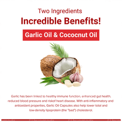 Sri Sri Tattva Supasupp Garlic Oil With Coconut Oil Cardistrong Capsule 60