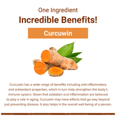 Sri Sri Tattva Supasupp Quick Action Bioperine Oil Curcuwin Capsule 60