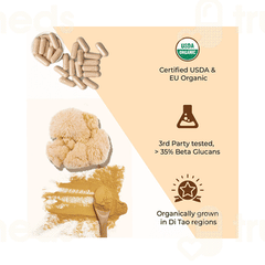 Rooted Active Naturals Lions Mane Organic Mushroom Extract Capsule 90