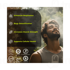Healthveda Organics N Acetyl L Cysteine Capsule 60