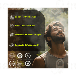 Healthveda Organics N Acetyl L Cysteine Capsule 60