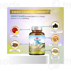 Vaamveda Shilajit Pure Himalayan Extract Capsule 60