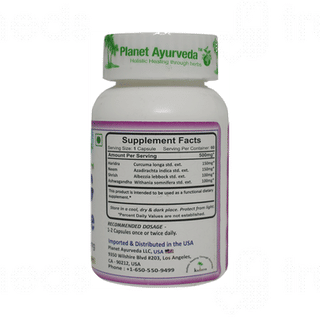 Planet Ayurveda Aller G Care Capsule 60