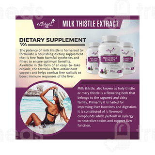 Natureal Milk Thistle Extract Capsule 60