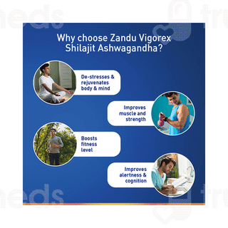 Zandu Vigorex Shilajit Ashwagandha Capsule 60