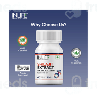 Inlife Shilajit Extract Capsule 60
