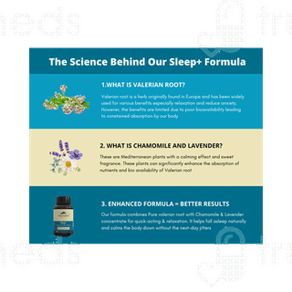 Rasayanam Sleep+ Capsule 60