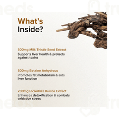 Gnc Herbal Plus Liver Support Capsule 60