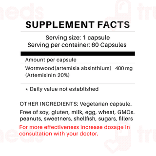 Vaastavik Wormwood Artemisia Absinthium Veg Capsule 60