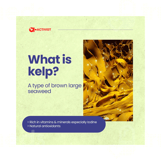 Activist Kelp Capsule 60