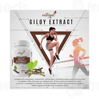 Natureal Giloy Extract Capsule 60