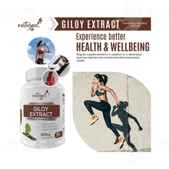 Natureal Giloy Extract Capsule 60