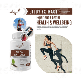 Natureal Giloy Extract Capsule 60