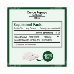 Biotrex Carica Papaya Leaf Extract 500mg Veg Capsule 60