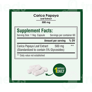 Biotrex Carica Papaya Leaf Extract 500mg Veg Capsule 60