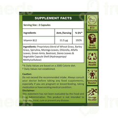 Geofresh Vitamin B12 Veg Capsule 60