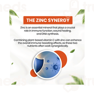 Himalayan Organics Vitamin C + Zinc Vegetarian Capsule 120