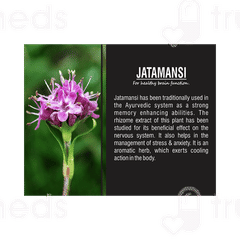 Health Mart Jatamansi Brain Tonic Capsule 60