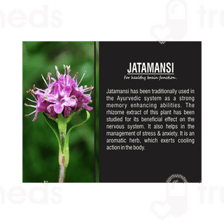 Health Mart Jatamansi Brain Tonic Capsule 60