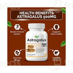 Biotrex Astragalus Veg Capsule 60